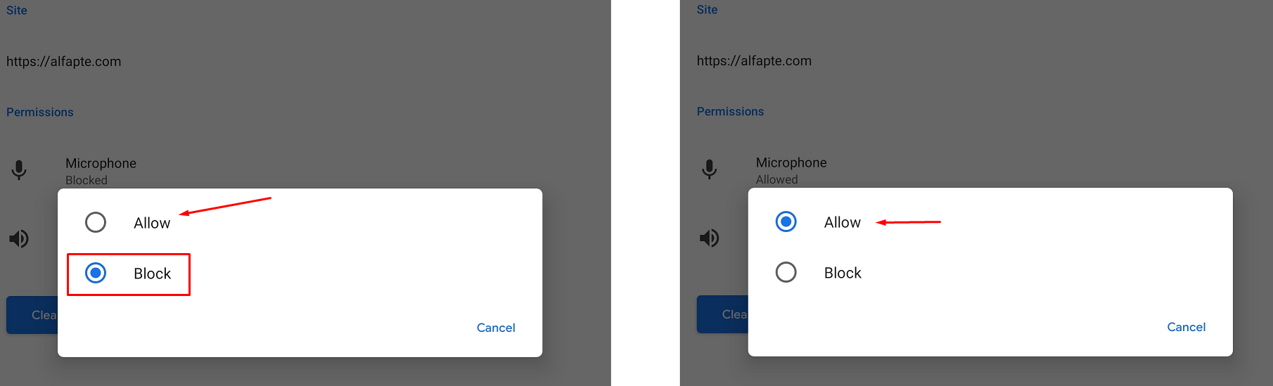 How to enable microphone on my computer's / phone's browser?